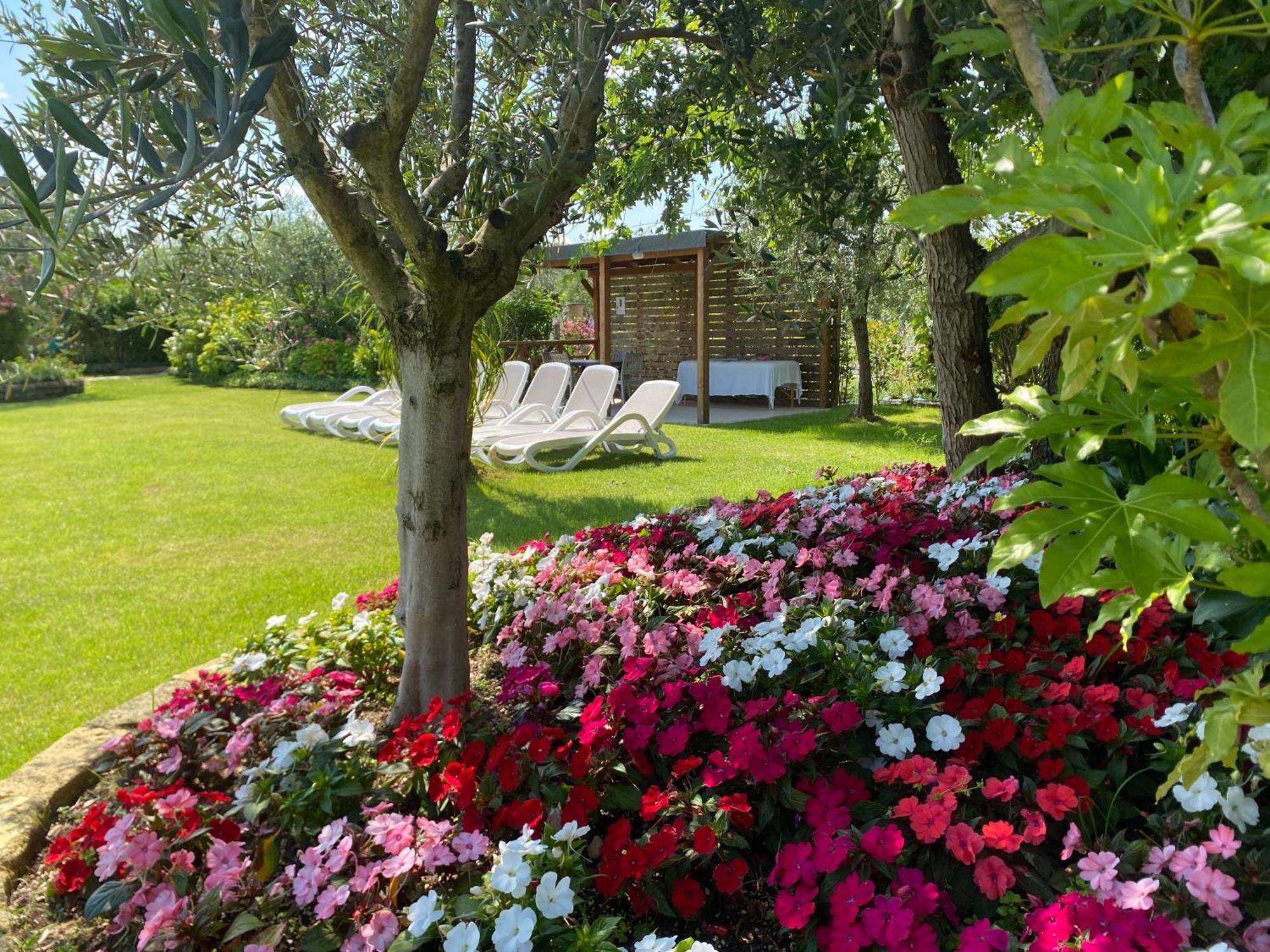 Agricampeggio Oasi Del Garda ลาซีเซ ภายนอก รูปภาพ