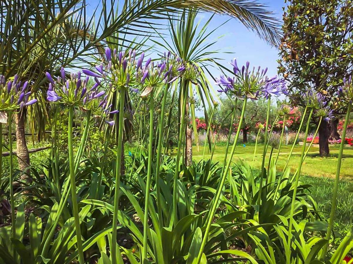 Agricampeggio Oasi Del Garda ลาซีเซ ภายนอก รูปภาพ