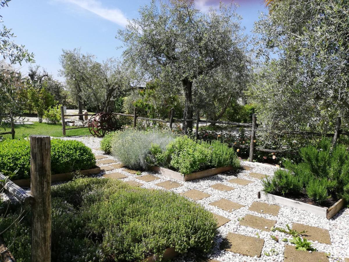 Agricampeggio Oasi Del Garda ลาซีเซ ภายนอก รูปภาพ